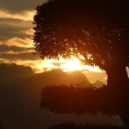 ホテル Collina Luxury Relais